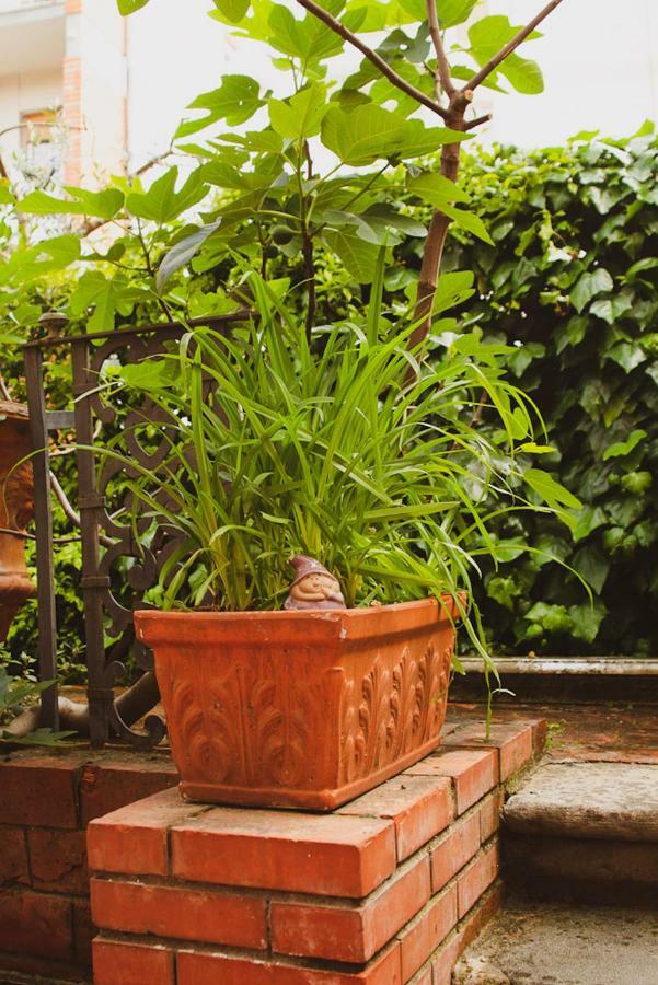 Il Villino Bed & Breakfast Lucca Exterior photo